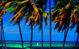 Туры в Ольгин