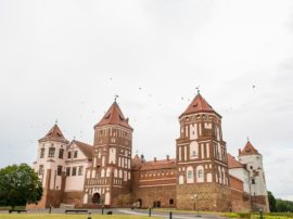 Парк животных Диприз, усадьба Литовка и Мирский Замок