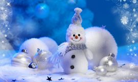 Сказочный Новый год в Бресте и Беловежской пуще (с посещением поместья Деда Мороза)